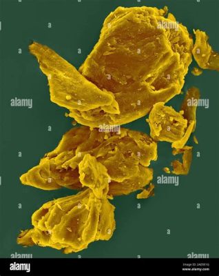 Xanthomonas! Eine Bakterie mit überraschend komplexen sozialen Strukturen!